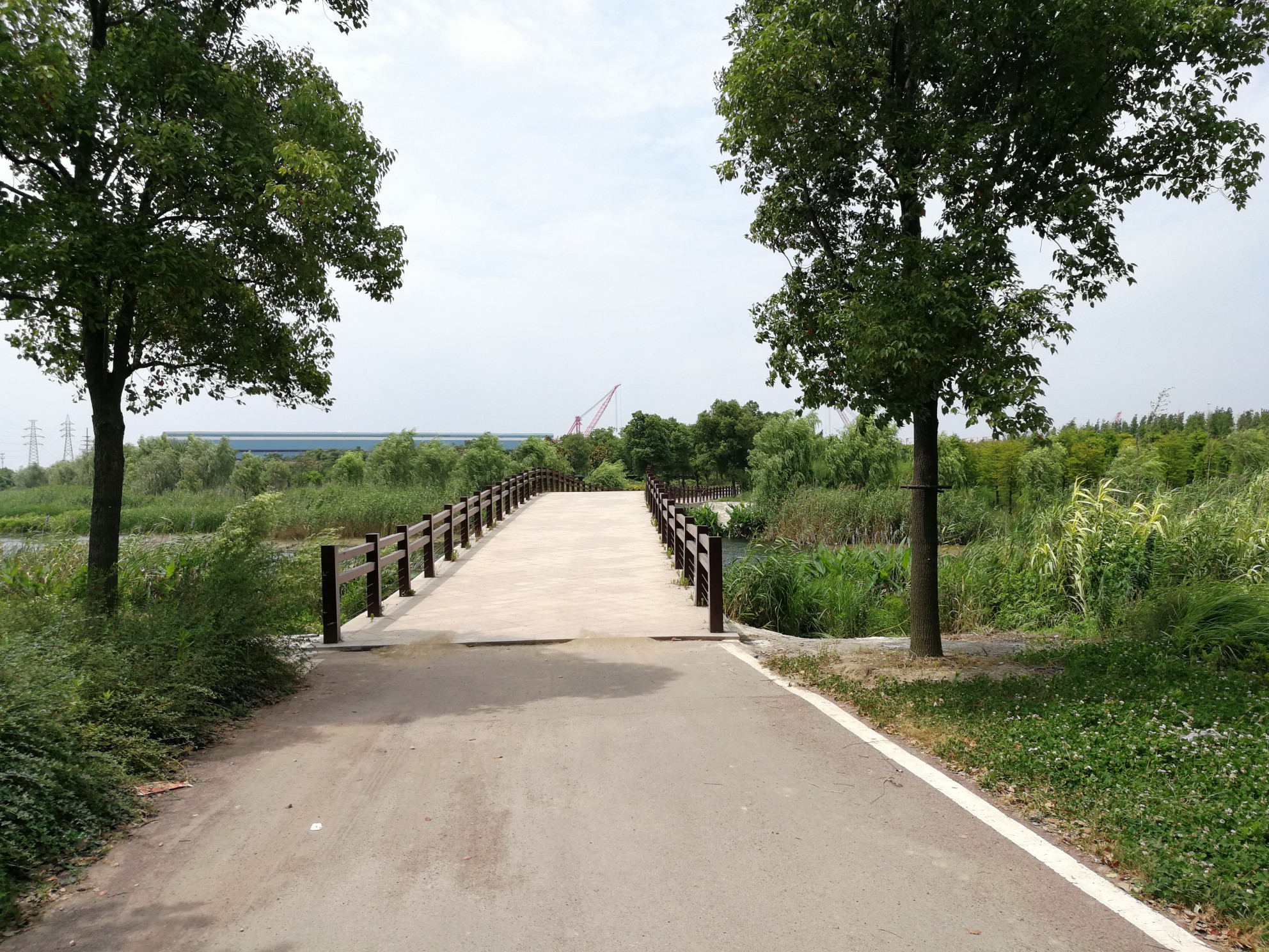 南通老洪港湿地公园